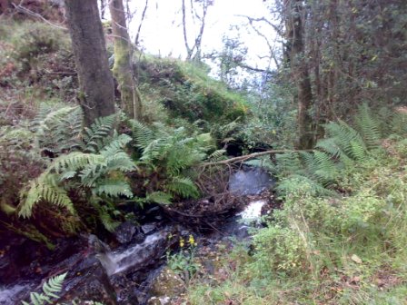 Stream running down to High Dam