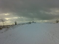 Looking up towards the Summit